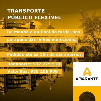 Amarante - TRANSPORTE PÚBLICO FLEXÍVEL